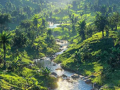 Wayanad 3DAYS