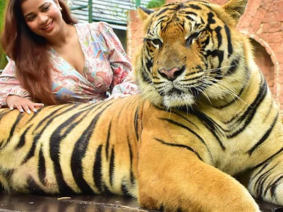 Image of THAILAND FAMILY PACKAGE - 2