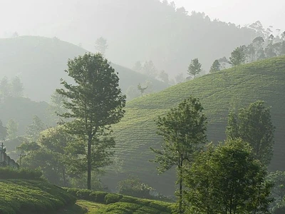 Image of Wayanad 3DAYS - 2